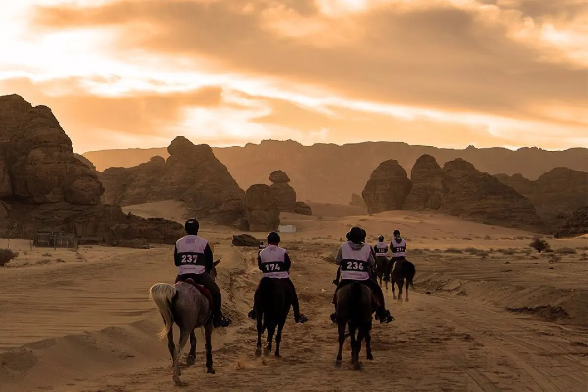 2149914 endurance.png (1005 KB)